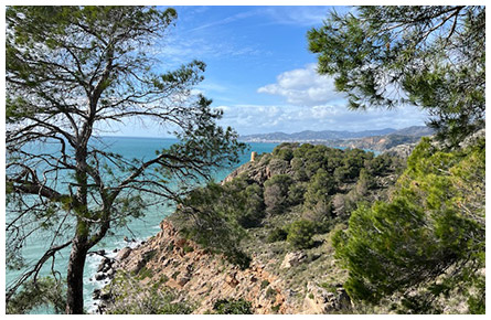 Yoga Retreat | Yogareise Yoga in Andalusien