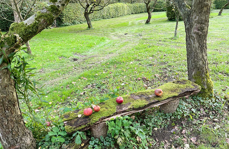 Yoga Retreat | Yogareise | Kloster Vinnenberg Münsterland